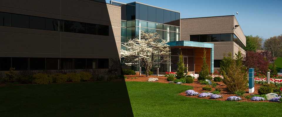 Floral Park Landscapers