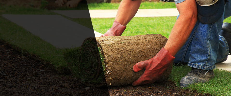 Floral Park Landscapers